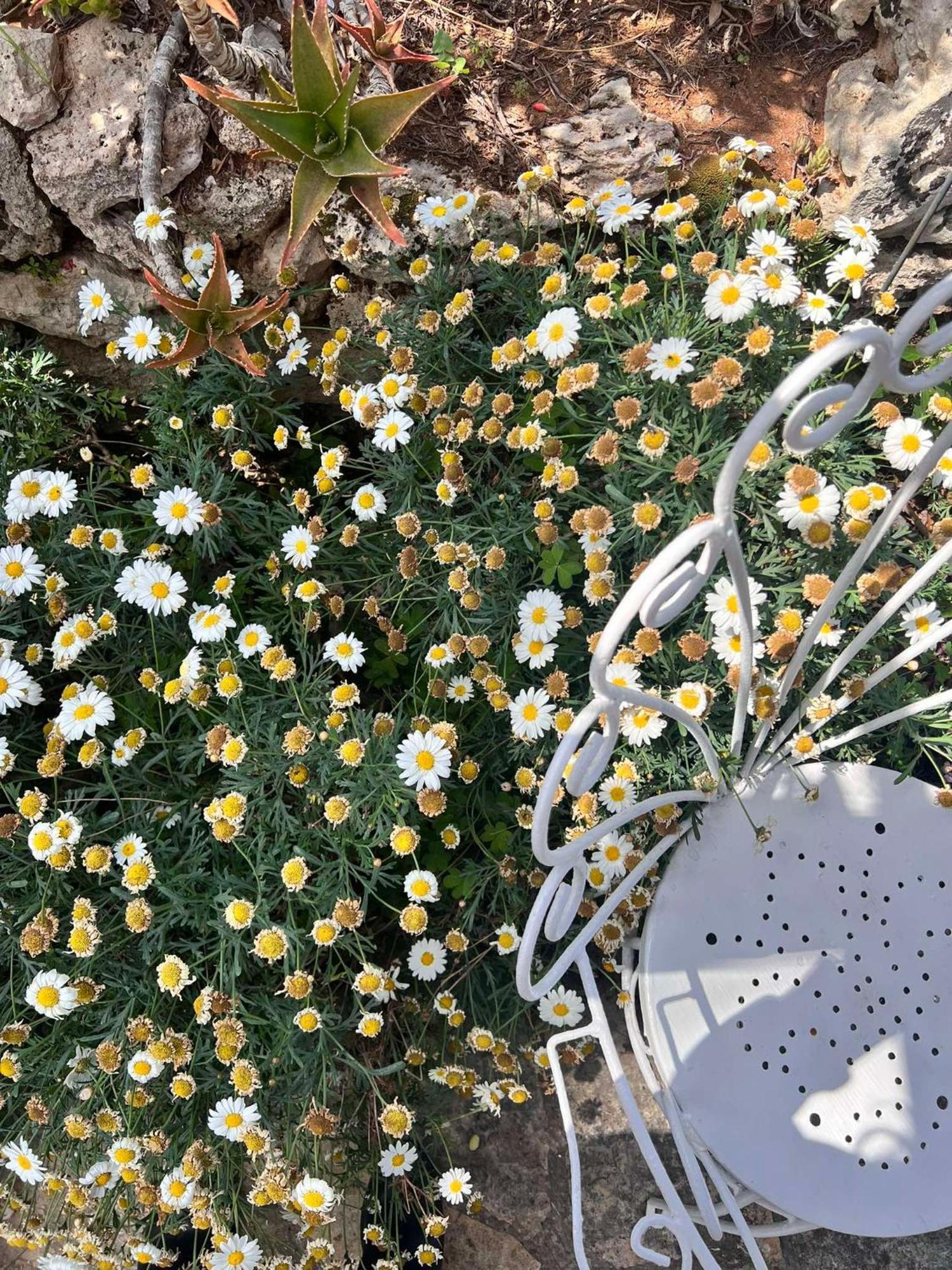 Villa Casa Vacanze Fiore Gallipoli Luaran gambar