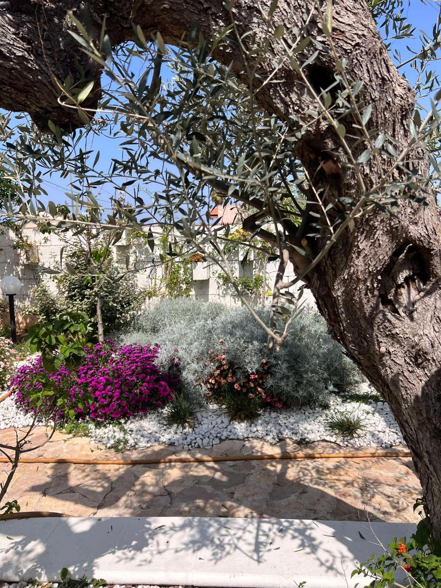 Villa Casa Vacanze Fiore Gallipoli Luaran gambar