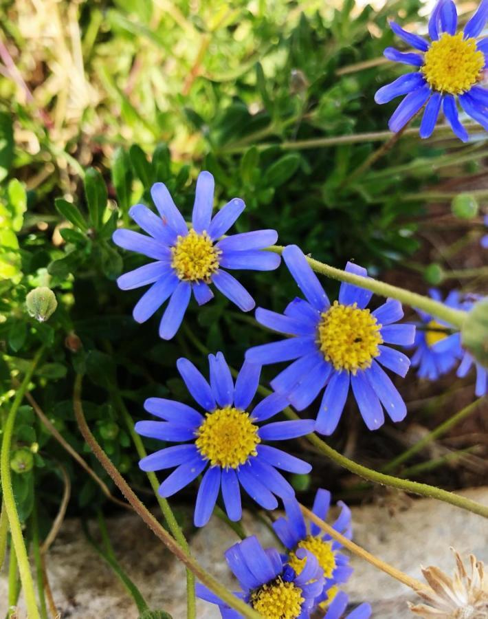 Villa Casa Vacanze Fiore Gallipoli Luaran gambar